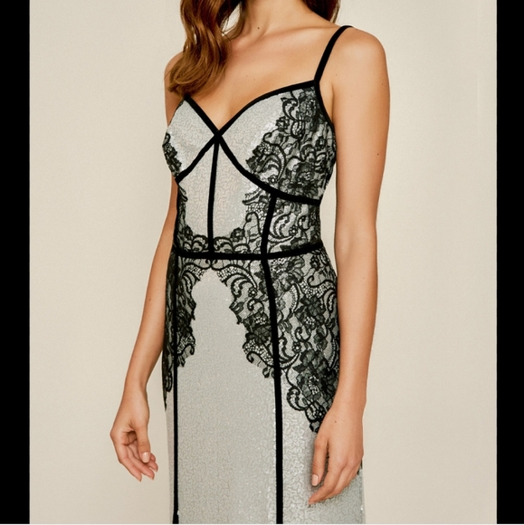 Tadashi Shoji Janus Lace Sequin Sleeveless Gown Si - Picture 2 of 13